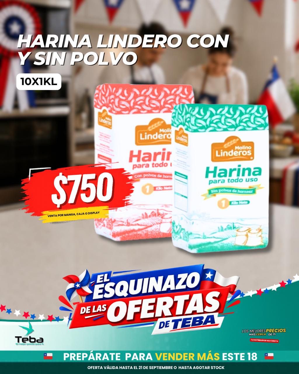 Ofertas de la semana - HARINA LINDEROS C/P 10X1KL