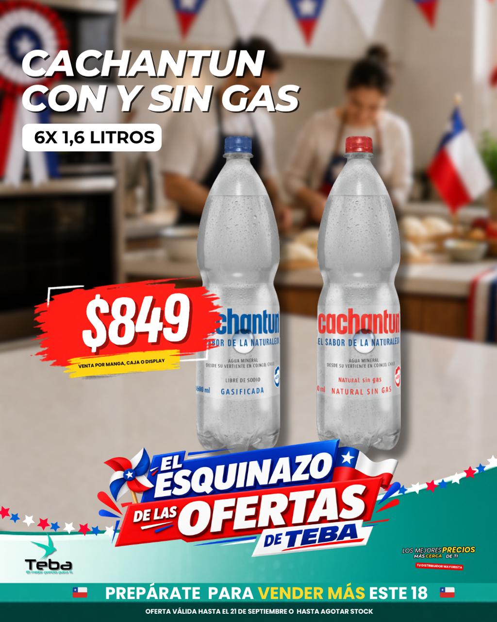 Ofertas de la semana - CACHANTUN 6X1.6L