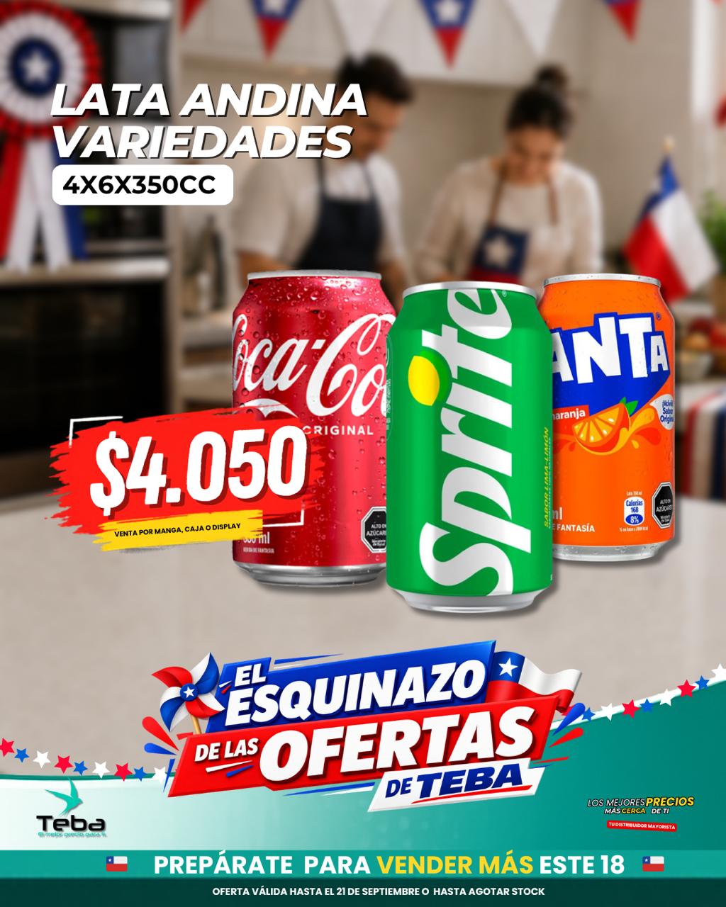 Ofertas de la semana - LATA COCA COLA 4X6X350CC
