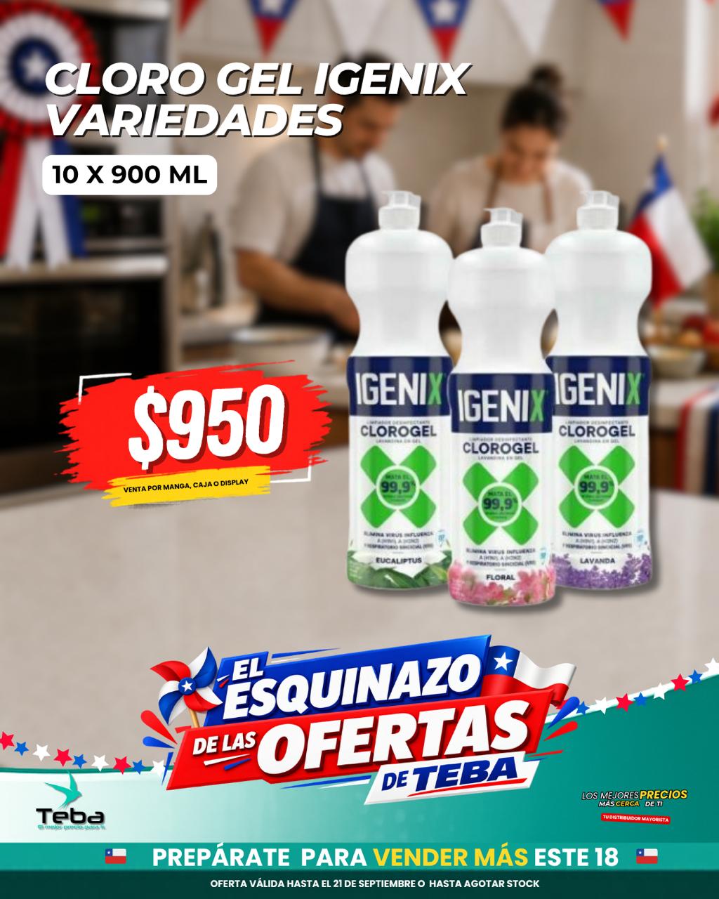Ofertas de la semana - CLOROGEL IGENIX LAVANDA 10X900ML