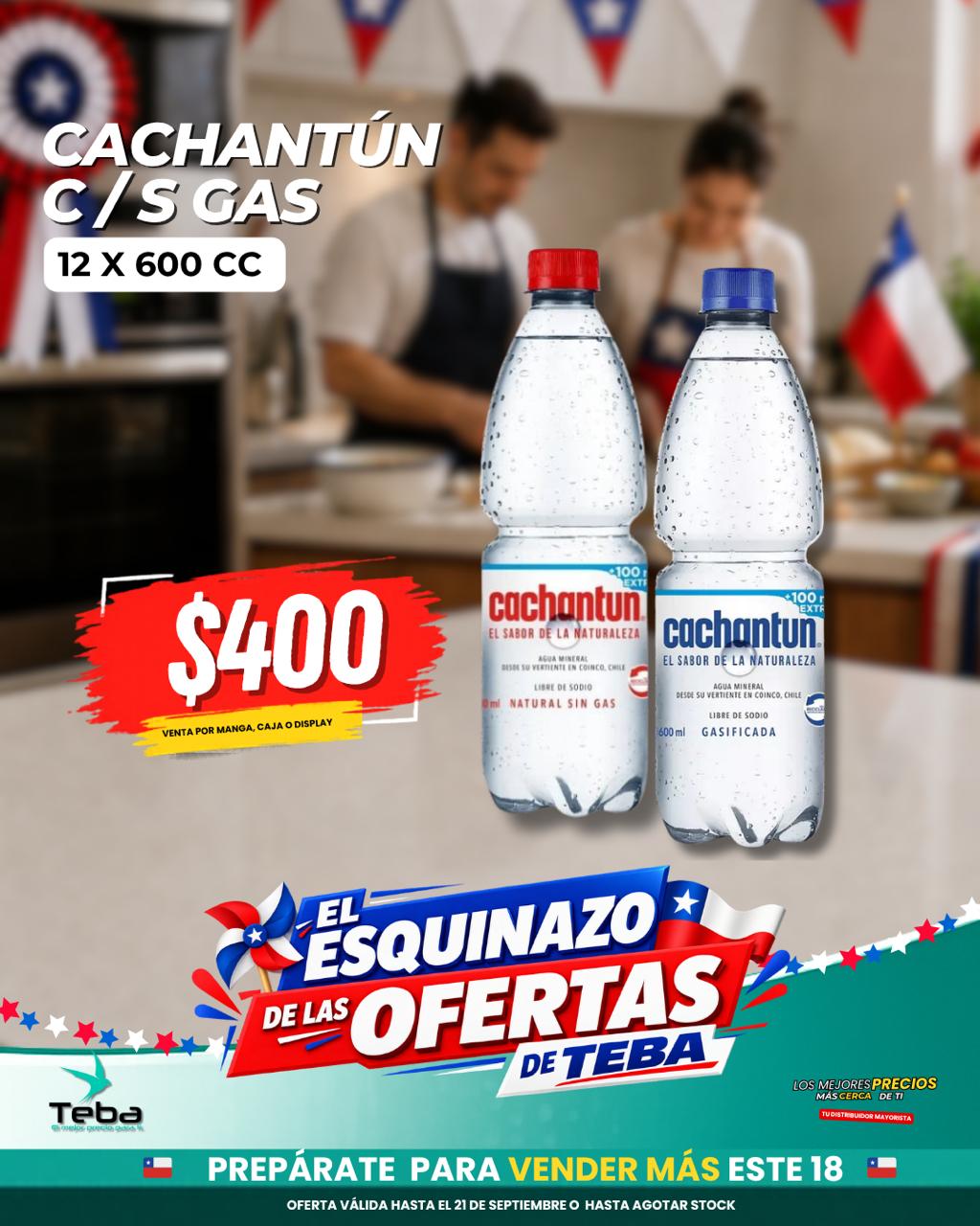Ofertas de la semana - CACHANTUN C/GAS 12X600