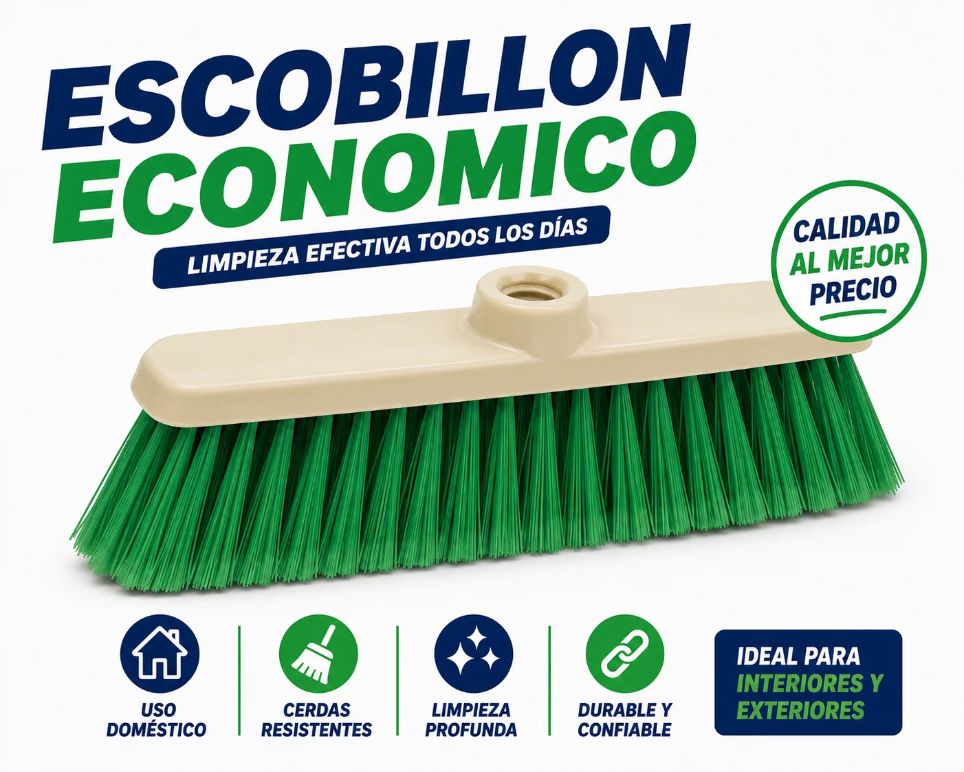 ESCOBILLON ECONOMICO BZZ 12 X1