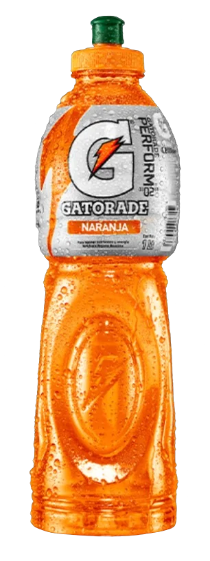 GATORADE 6X1000 CC