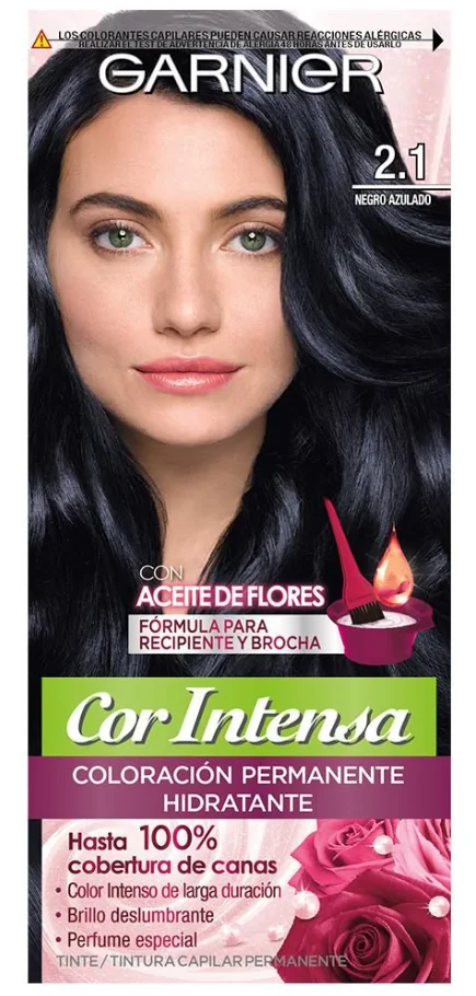 COR INTENSA GARNIER 2.1 NEGRO AZULADO X6UND
